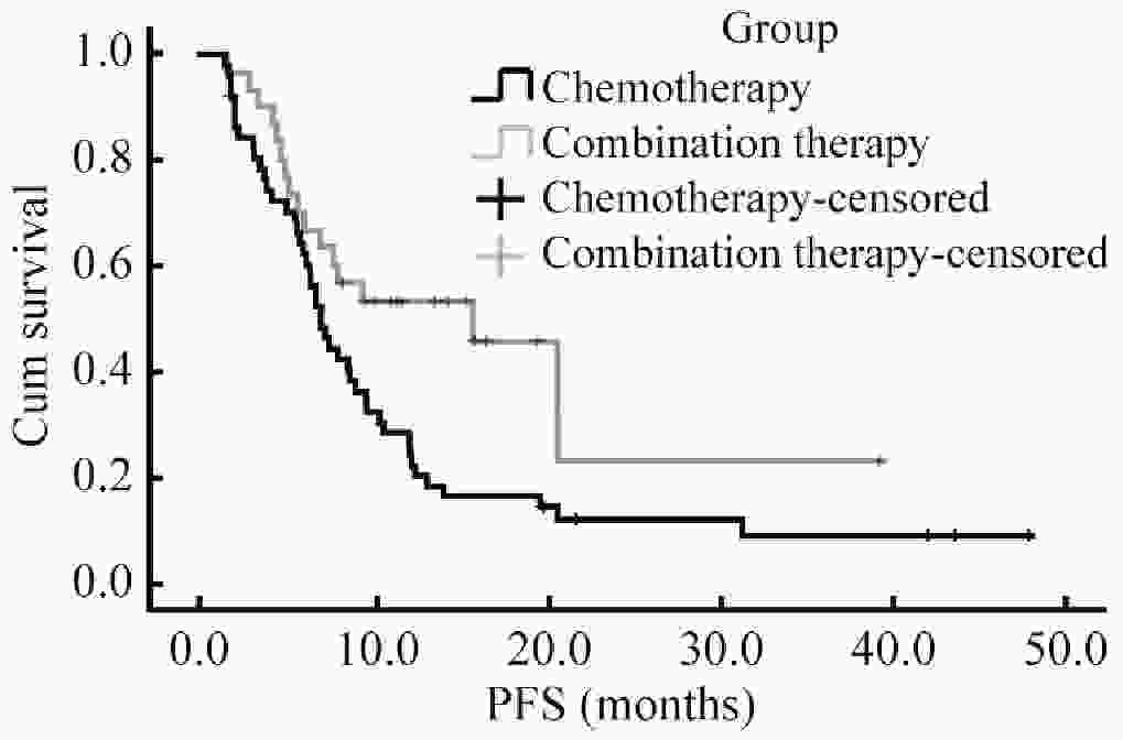 Clinical and safety of firstline antiPD1 therapy combined